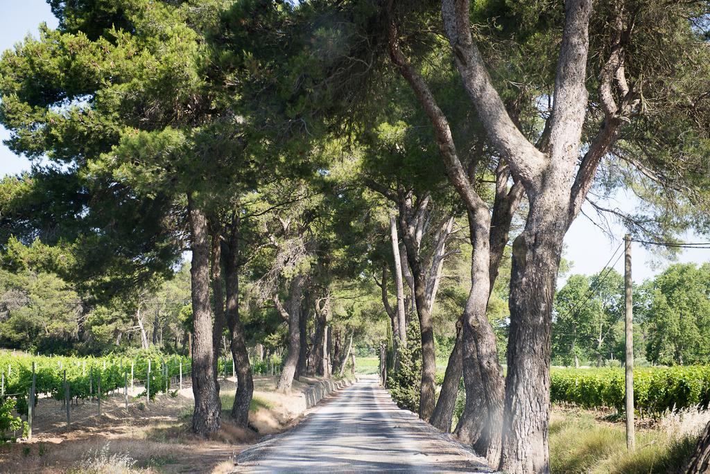 فيلا Chateau Canet Rustiques المظهر الخارجي الصورة