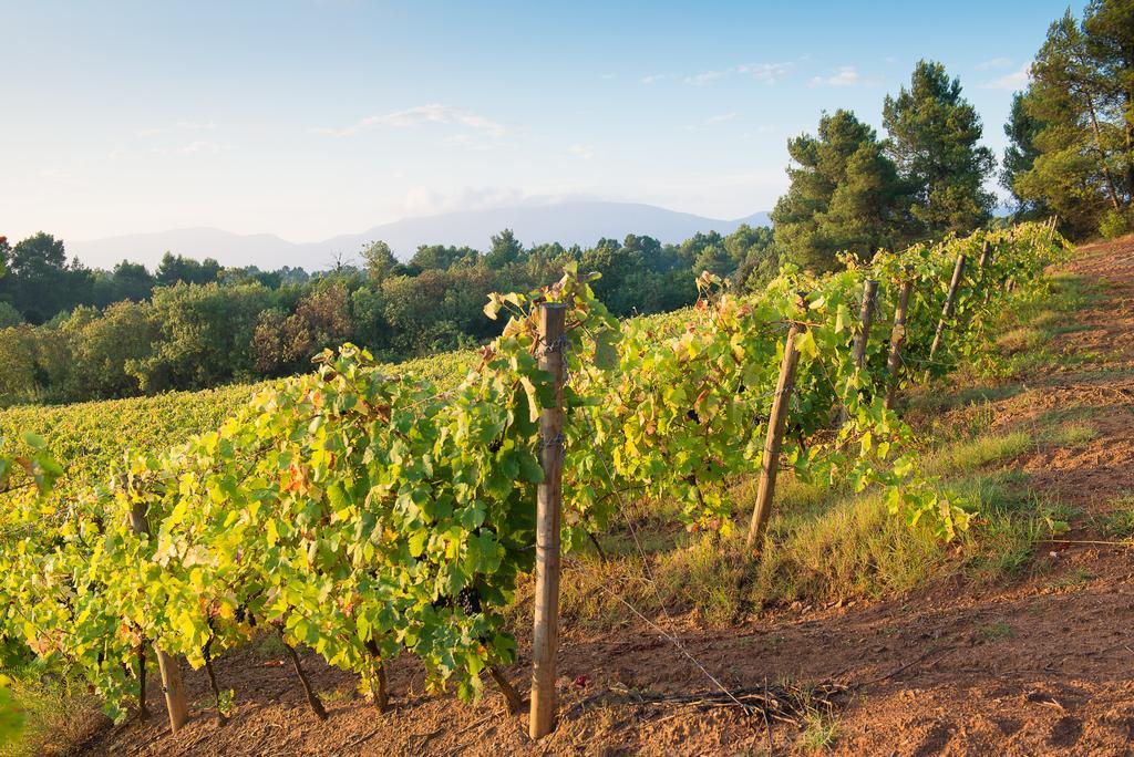 فيلا Chateau Canet Rustiques المظهر الخارجي الصورة