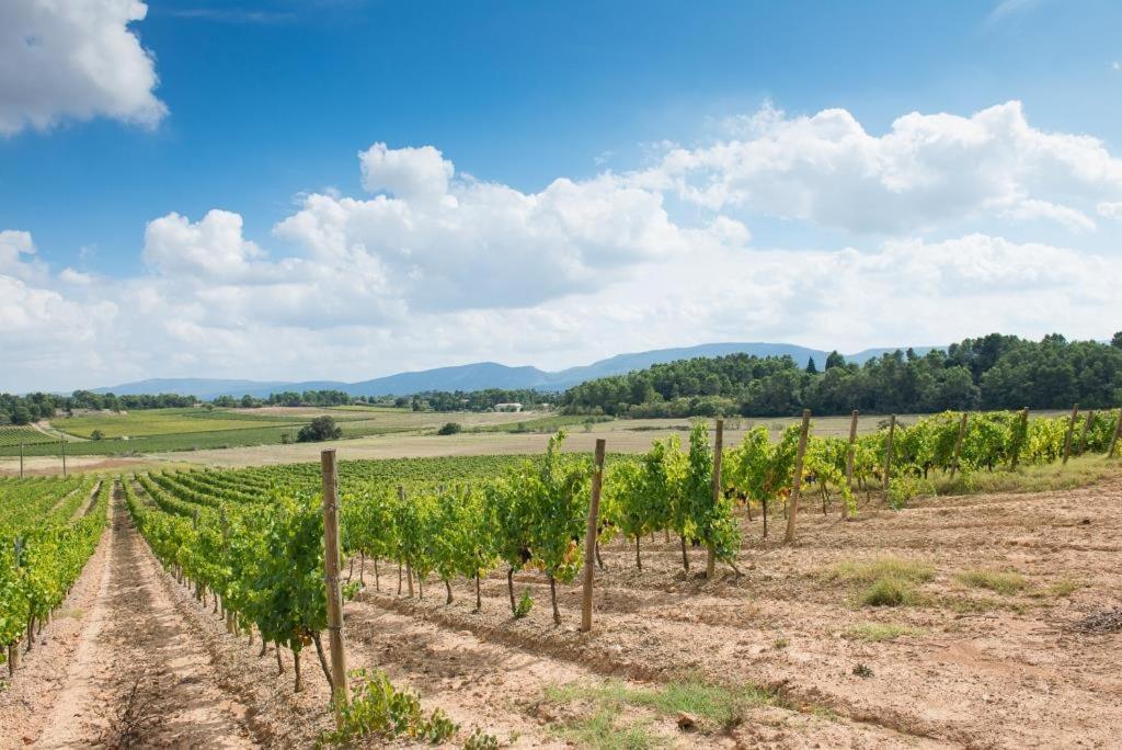 فيلا Chateau Canet Rustiques المظهر الخارجي الصورة